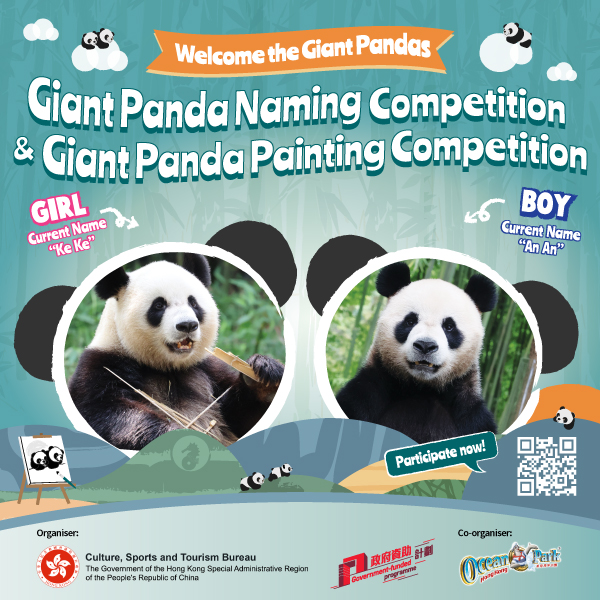 Giant Panda Naming & Painting Competitions